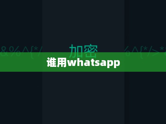 谁用whatsapp