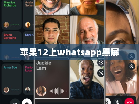 苹果12上whatsapp黑屏