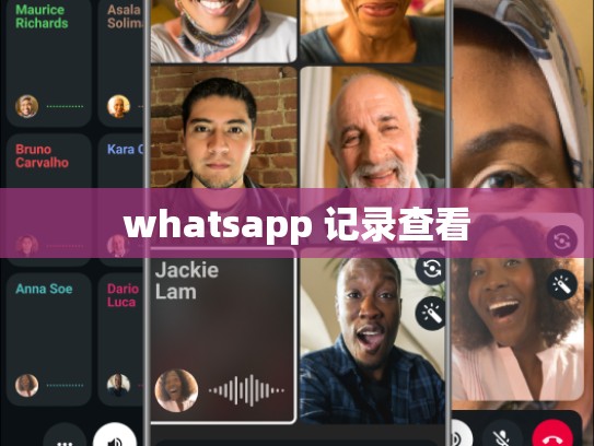 whatsapp 记录查看