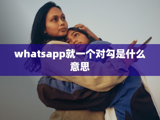 whatsapp就一个对勾是什么意思