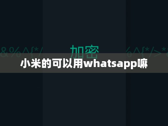 小米的可以用whatsapp嘛