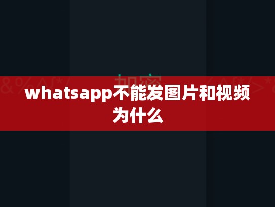whatsapp不能发图片和视频为什么