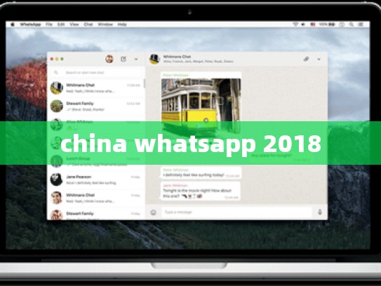 china whatsapp 2018