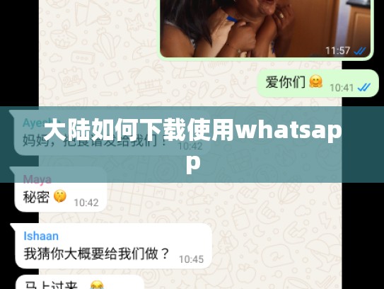大陆如何下载使用whatsapp