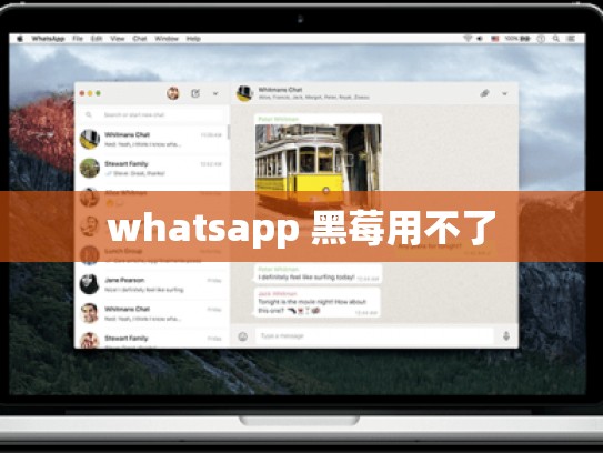 whatsapp 黑莓用不了