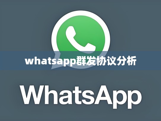 whatsapp群发协议分析