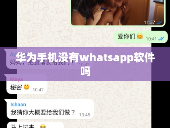 华为手机没有whatsapp软件吗