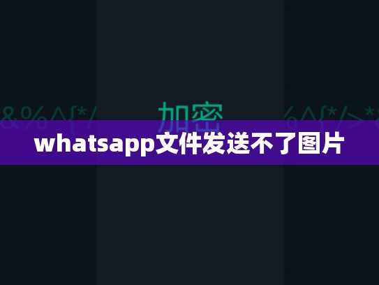 whatsapp文件发送不了图片