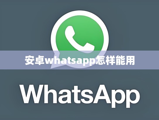 安卓whatsapp怎样能用