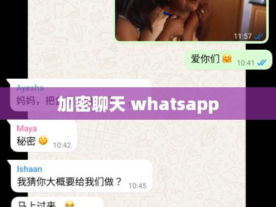 加密聊天 whatsapp