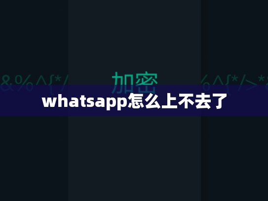 whatsapp怎么上不去了