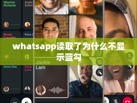 whatsapp读取了为什么不显示蓝勾