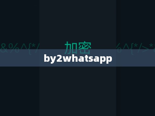by2whatsapp