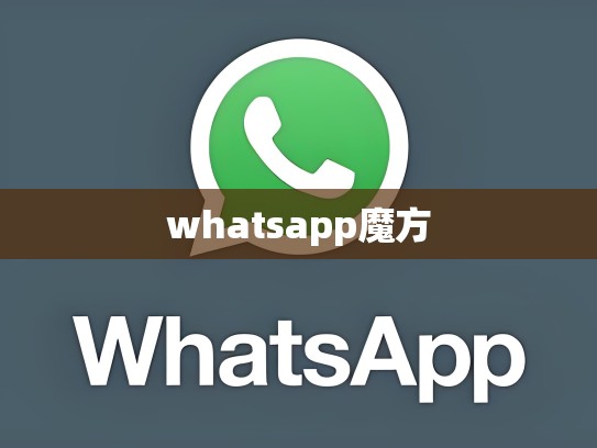 whatsapp魔方