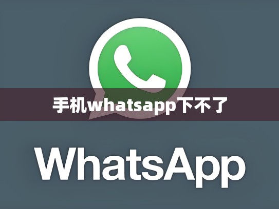 手机whatsapp下不了