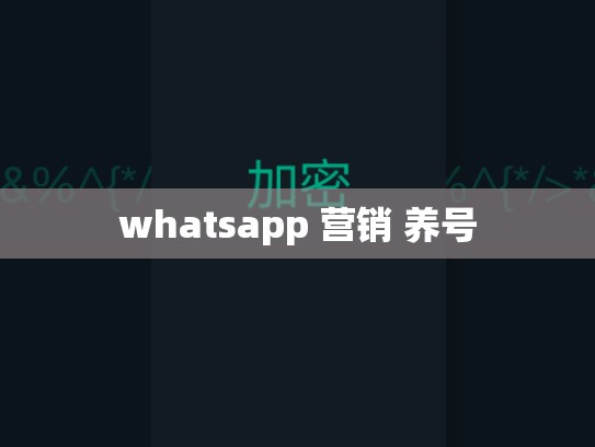 whatsapp 营销 养号