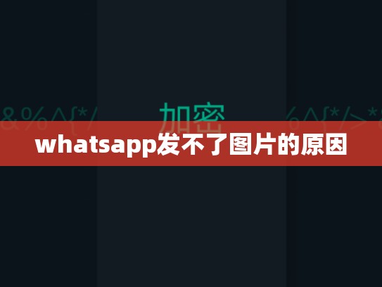 whatsapp发不了图片的原因