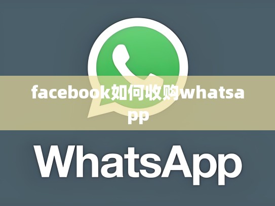 facebook如何收购whatsapp