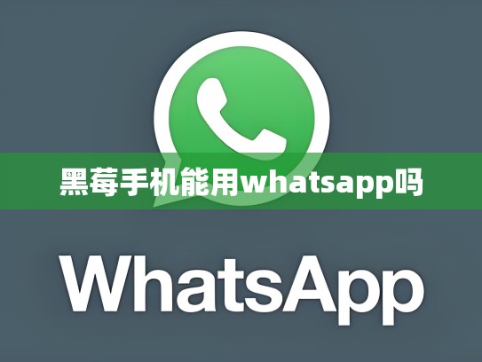 黑莓手机能用whatsapp吗