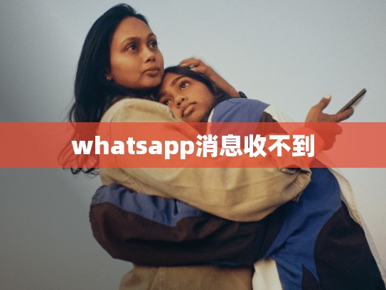 whatsapp消息收不到