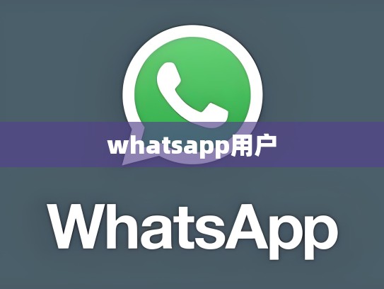 whatsapp用户