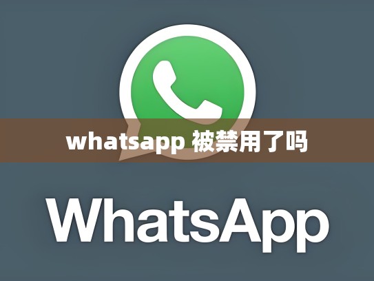 whatsapp 被禁用了吗