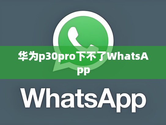 华为p30pro下不了WhatsApp