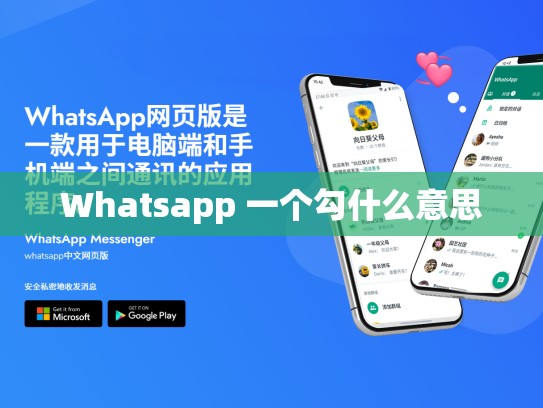Whatsapp 一个勾什么意思