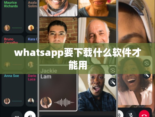 whatsapp要下载什么软件才能用