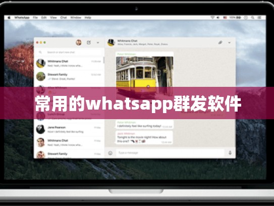 常用的whatsapp群发软件