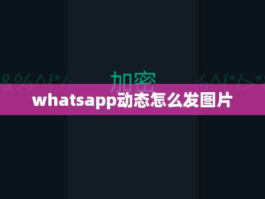 whatsapp动态怎么发图片