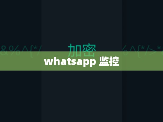 whatsapp 监控
