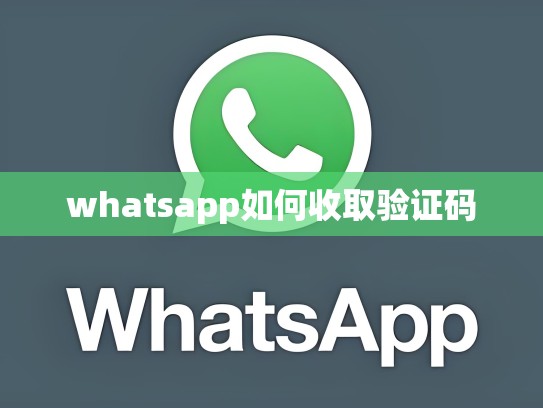 whatsapp如何收取验证码