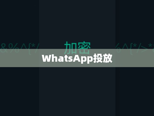 WhatsApp投放