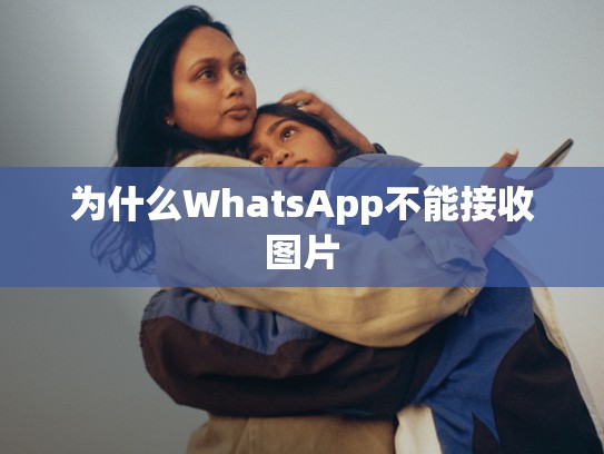 为什么WhatsApp不能接收图片