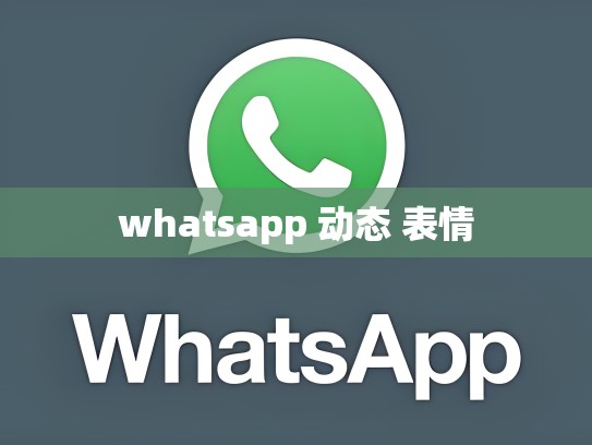 whatsapp 动态 表情