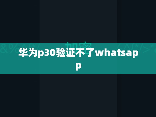 华为p30验证不了whatsapp