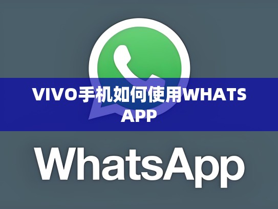 VIVO手机如何使用WHATSAPP