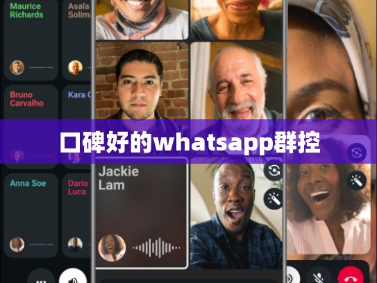 口碑好的whatsapp群控