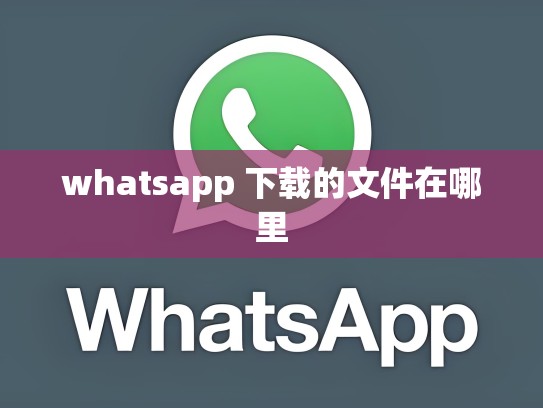 whatsapp 下载的文件在哪里
