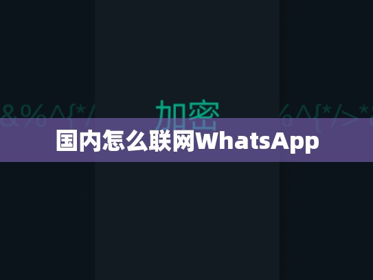 国内怎么联网WhatsApp