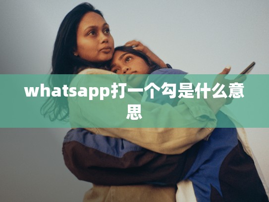 whatsapp打一个勾是什么意思