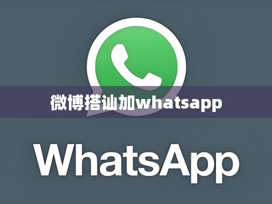 微博搭讪加whatsapp