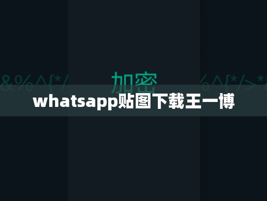 whatsapp贴图下载王一博