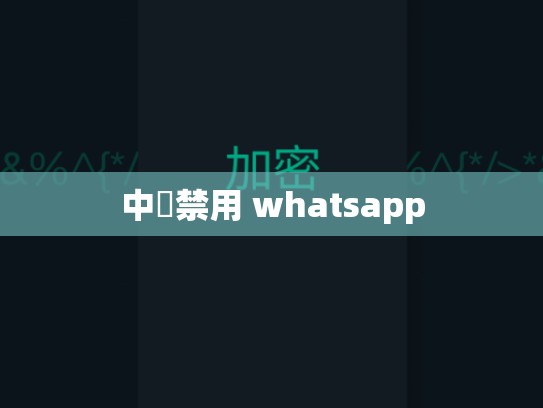 中國禁用 whatsapp