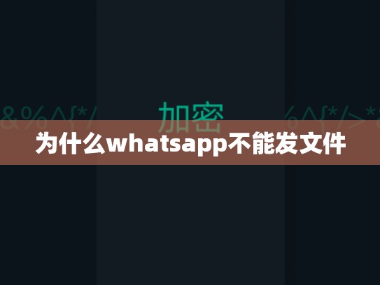 为什么whatsapp不能发文件