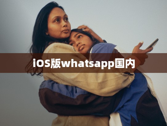 iOS版whatsapp国内