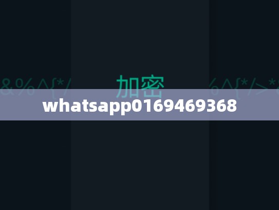 whatsapp0169469368