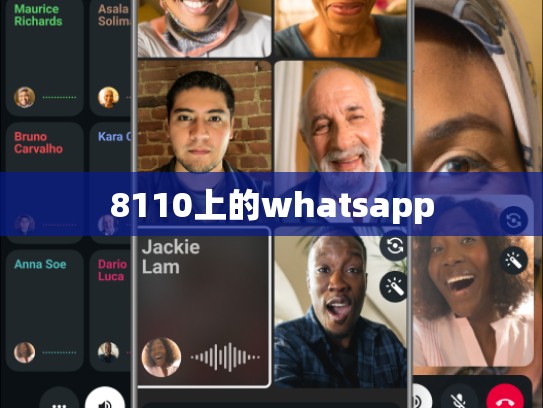 8110上的whatsapp