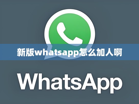 新版whatsapp怎么加人啊